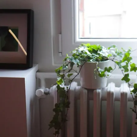 Center Luxury Knez Mihailova & Kalemegdan *